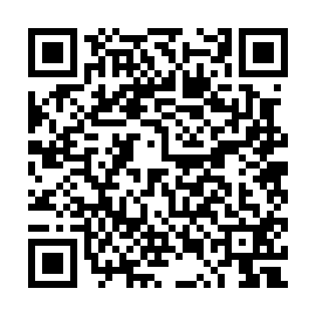 QR code for DUB0125