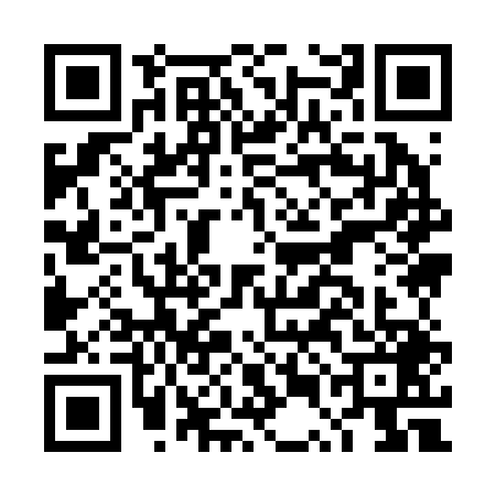 QR code for DUI2497