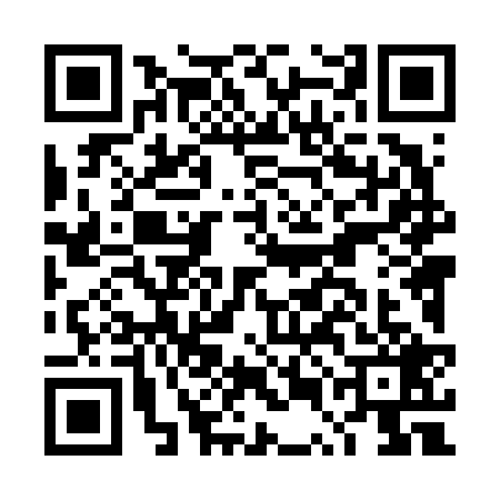 QR code for DUL6296