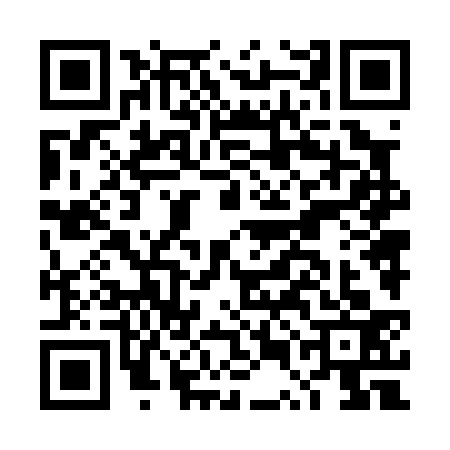 QR code for DUN0333