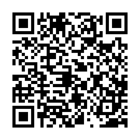 QR code for DUP3825
