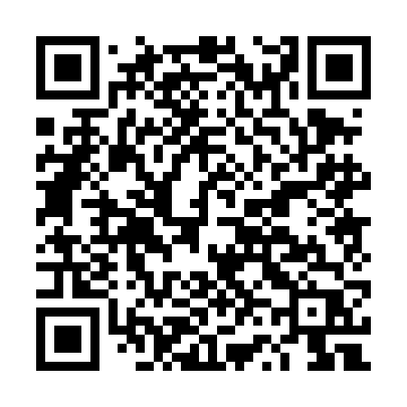 QR code for DV04FP
