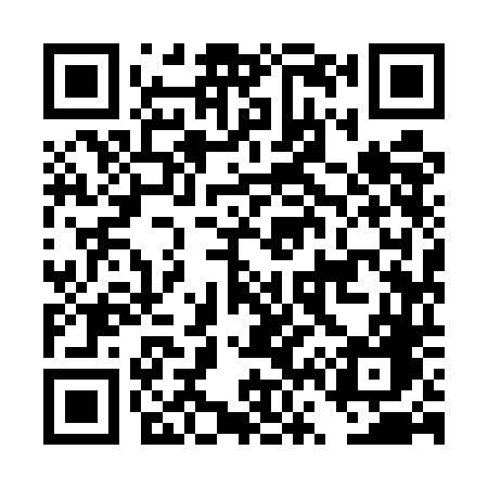 QR code for DV95DG