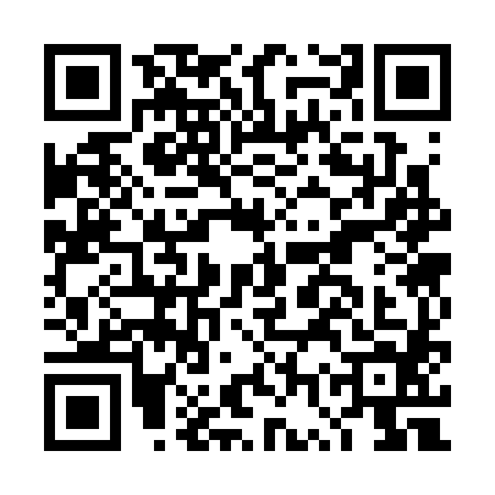 QR code for DWS3845