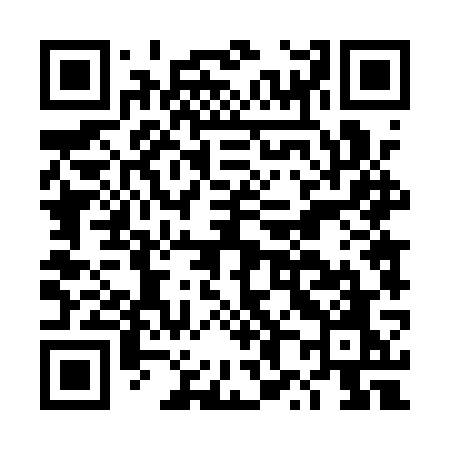 QR code for DX41WO