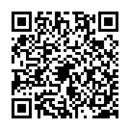 QR code for DYS1917