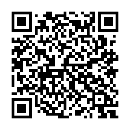 QR code for DZ91EF