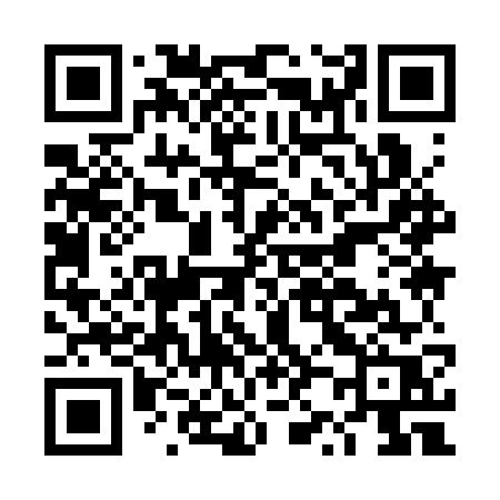 QR code for DZ93WR