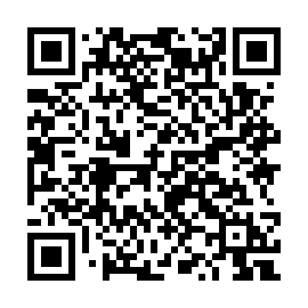 QR code for DZ95SH
