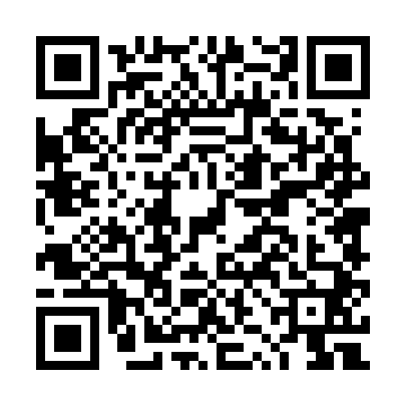 QR code for DZD7406