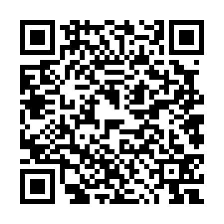 QR code for DZF0333