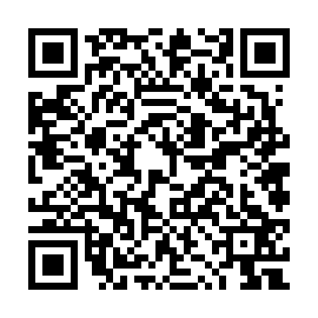 QR code for DZF6234