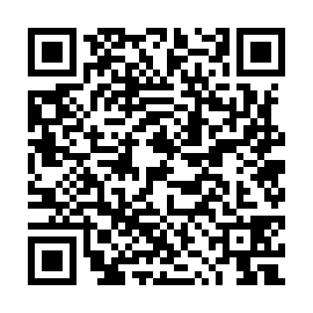 QR code for DZG9387