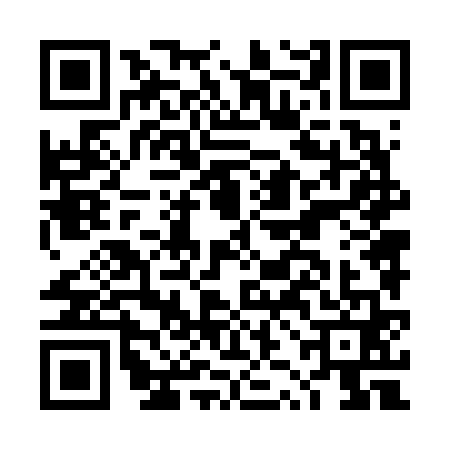 QR code for DZN6619
