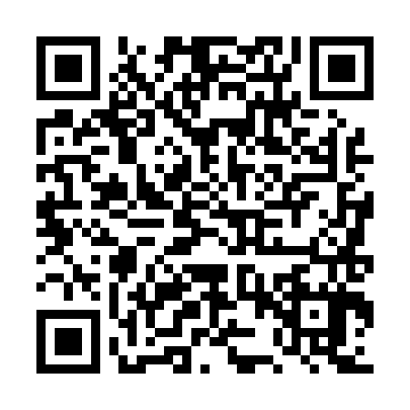 QR code for DZT0878