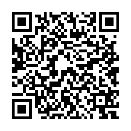 QR code for DZT1249