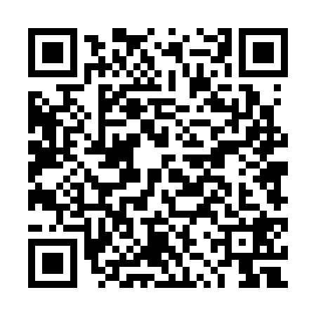 QR code for DZT3287