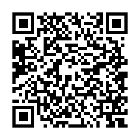 QR code for DZT6558