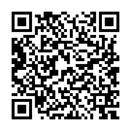 QR code for DZT9615