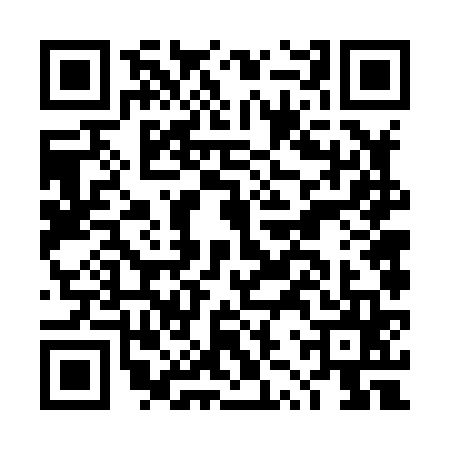 QR code for DZV8656