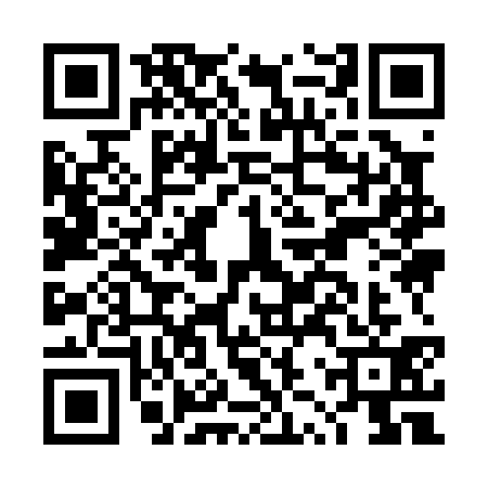 QR code for DZY0316