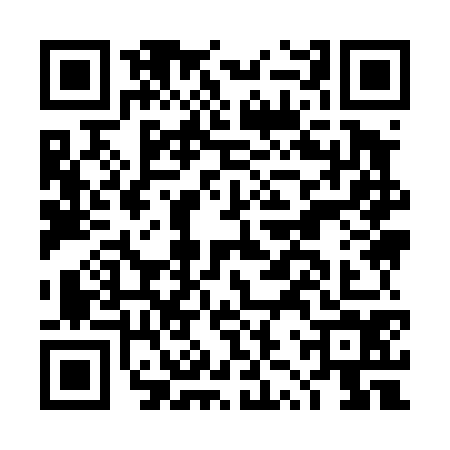 QR code for DZY4747