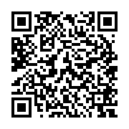 QR code for DZZ2486