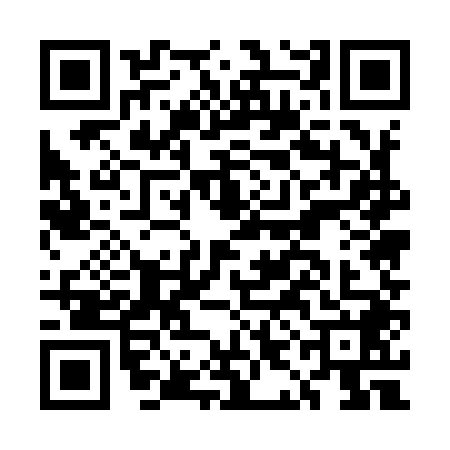 QR code for EIE9482