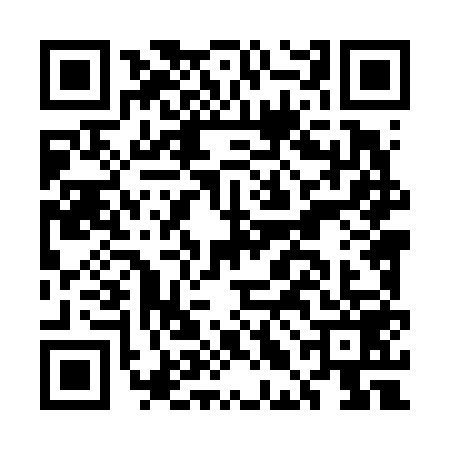QR code for ELL6597