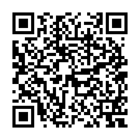 QR code for ENS2919