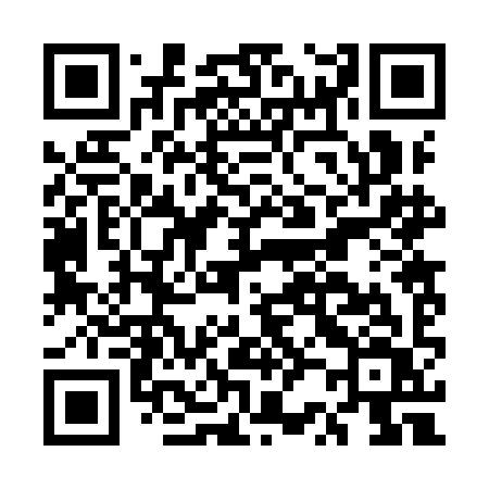 QR code for ER29IV