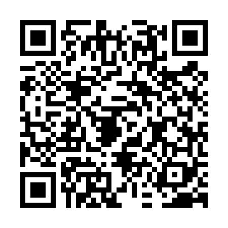 QR code for FEI4691