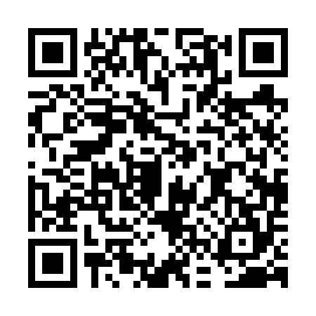 QR code for FFP6541