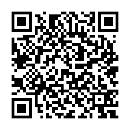 QR code for FIE2335