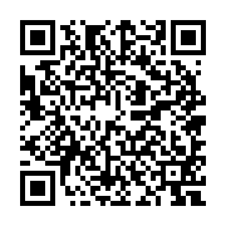 QR code for FIE2939