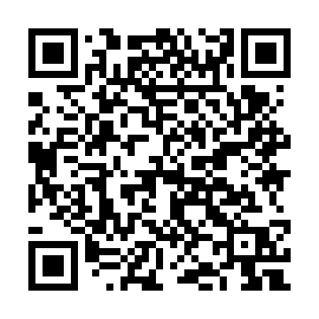 QR code for FJ96SP