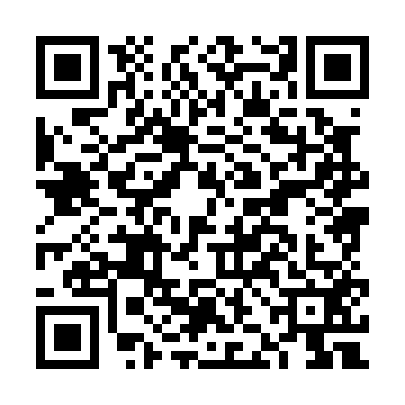 QR code for FJH0529