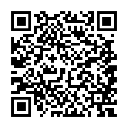 QR code for FJV0868