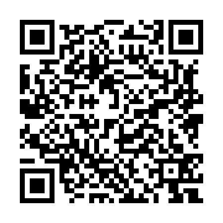 QR code for FJX8335