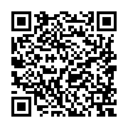 QR code for FJX9865