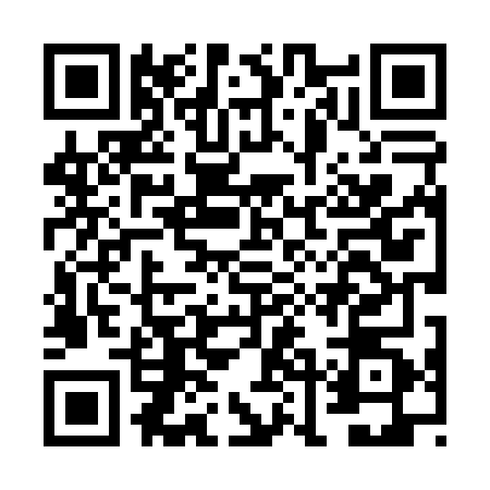 QR code for FLL0601