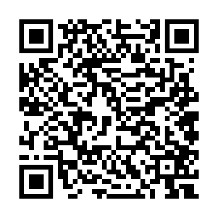 QR code for FLV7065
