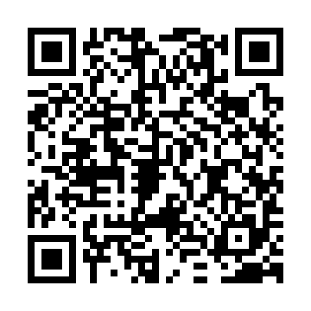QR code for FLY3957