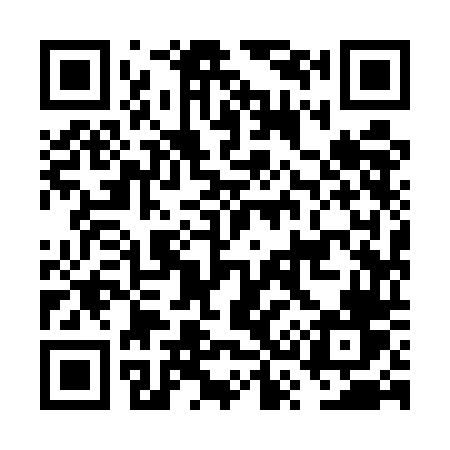 QR code for FS95DV