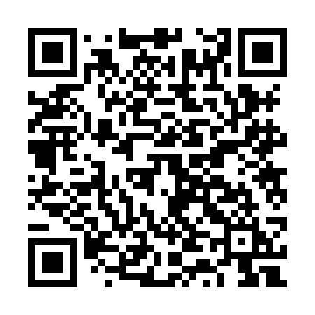QR code for FT28CI