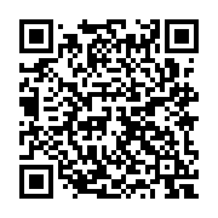QR code for FT91II