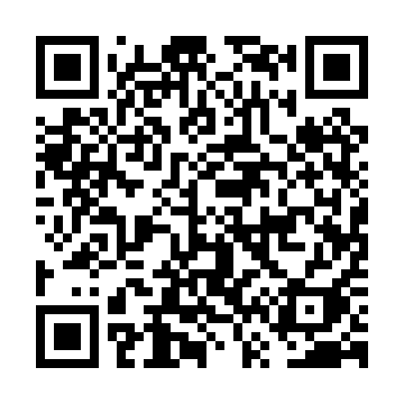 QR code for FV10QI