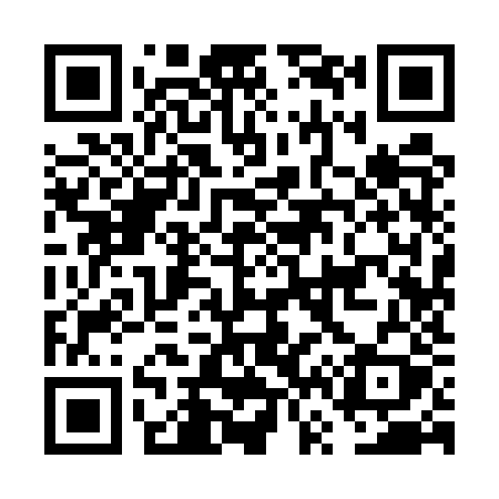 QR code for FV95ZY