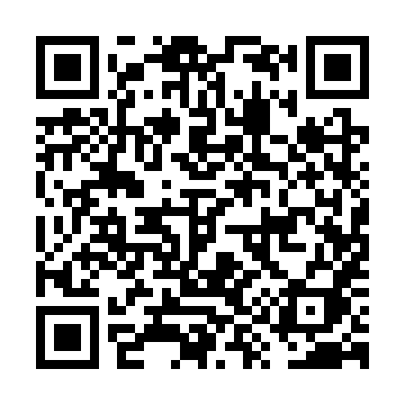 QR code for FY13XI