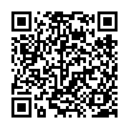 QR code for FY96AO